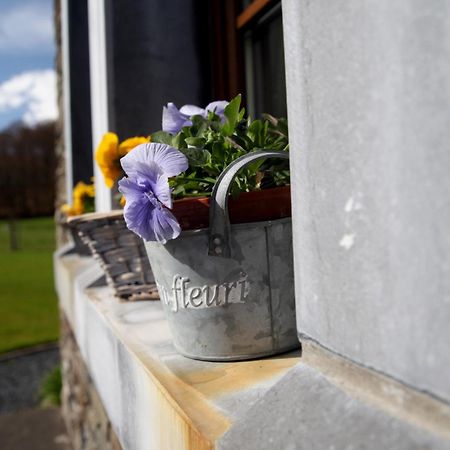 Une Parenthese En Ardenne Nollevaux Luaran gambar
